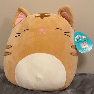12” Nathan the Cat Squishmallow